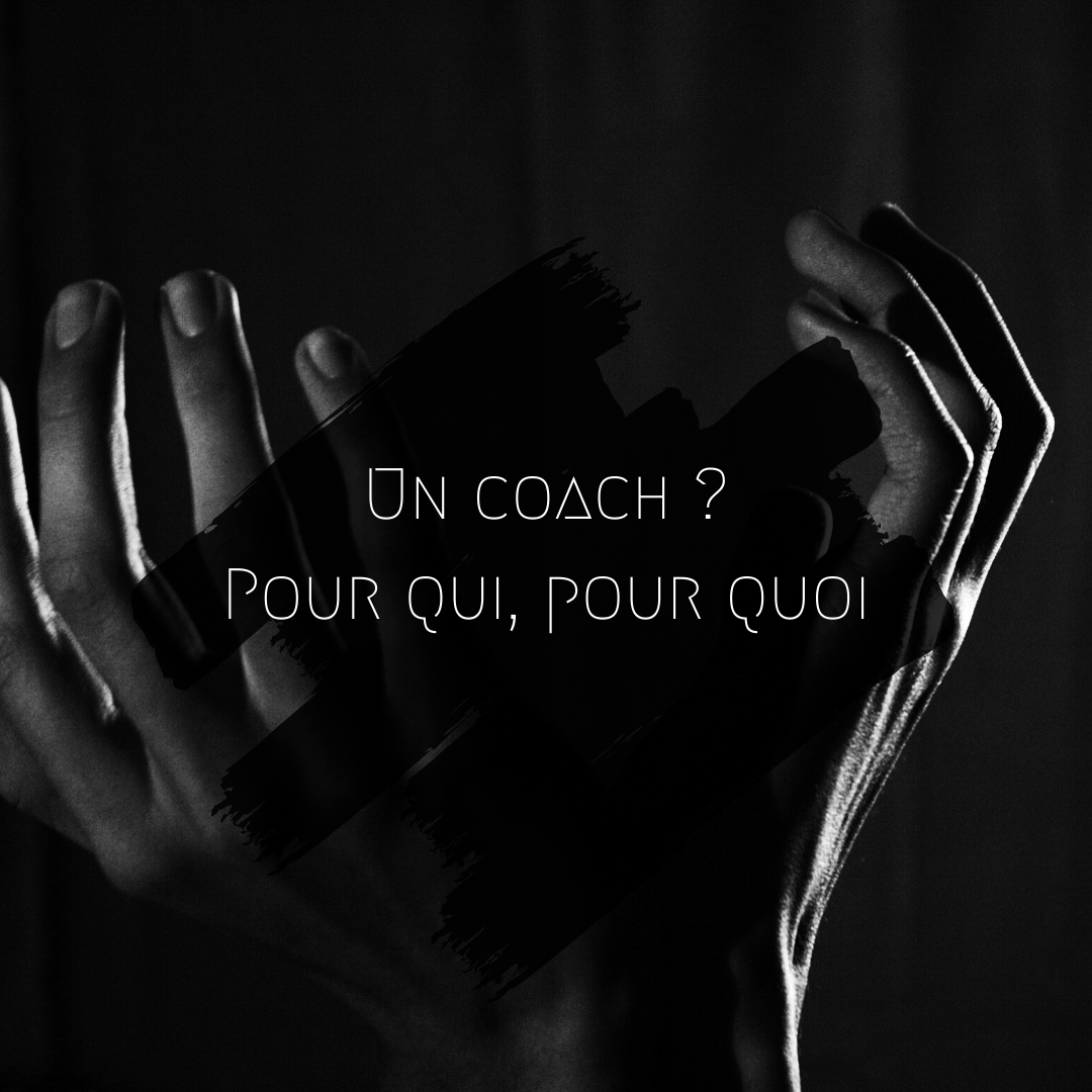 Un Coach Pour Qui Pour Quoi Bazik