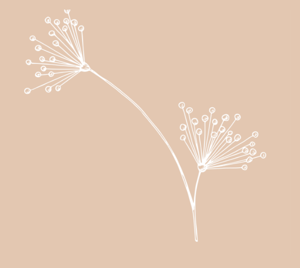 fleurs-sejours
